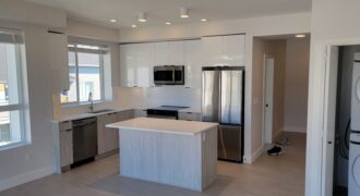 MAPLE RIDGE – BRAND NEW 2 BEDROOM 2 BATHROOM CONDO