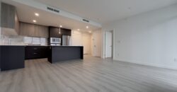 LANGLEY – BRAND NEW 2 BEDROOM, 2 BATHROOM CONDO