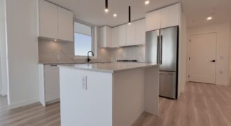 LANGLEY – BRAND NEW 2 BEDROOM, 2 BATHROOM +DEN CONDO