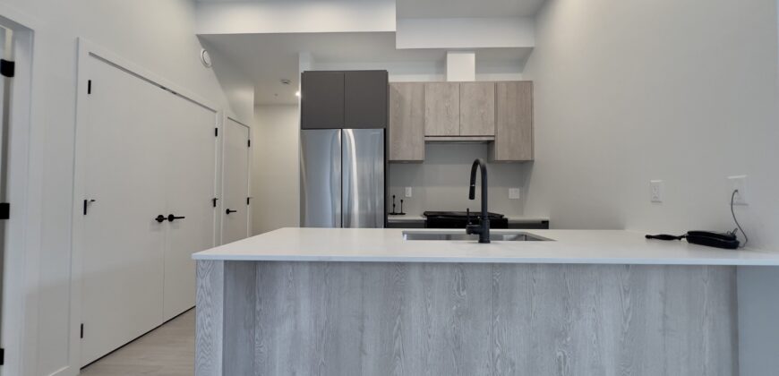 LANGLEY – BRAND NEW 2 BED, 2 BATH AT HARLO – 1ST FLOOR HUGE PATIO