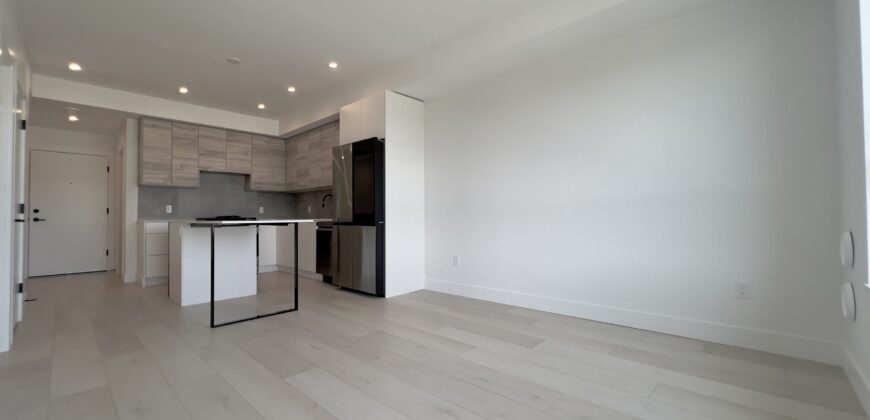 WEST ABBOTSFORD – BRAND NEW 2 BEDROOMS, 2 BATHROOM CONDO