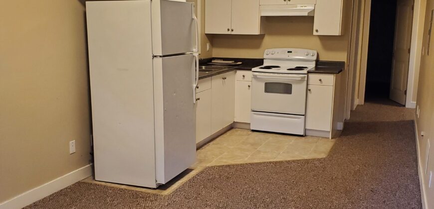CLAYTON HEIGHTS – 1 BEDROOM, 1 BATHROOM UNFURNISHED BASEMENT SUITE AVAILABLE OCTOBER 1ST