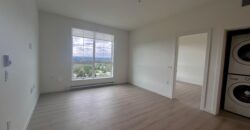 LANGLEY – Top Floor 2 BEDROOM, 2 BATHROOM CONDO