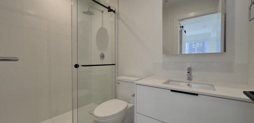WEST ABBOTSFORD – BRAND NEW 2 BEDROOMS, 2 BATHROOM CONDO