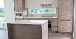 SURREY – 2 BEDROOM, 2 BATHROOM PENTHOUSE CONDO AVAILABLE SEPT 1ST