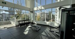 SURREY – 1 BED 1 BATH CONDO AVAILABLE!