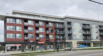 CLAYTON HEIGHTS – 2 BED 2 BATH CONDO AVAILABLE!