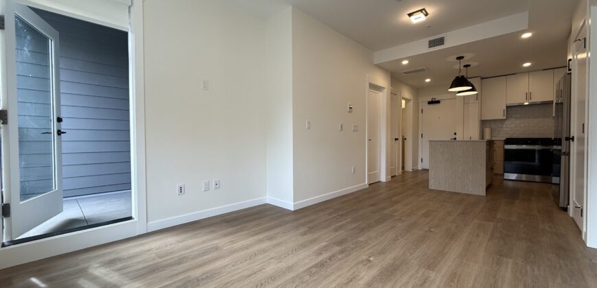 ALDERGROVE TOWN CENTRE SHORTREED – BRAND NEW 2 BED, 2 BATH