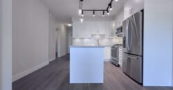 LANGLEY – BRAND NEW 2 BEDROOM, 2 BATHROOM CONDO