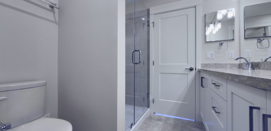 LANGLEY – BRAND NEW 2 BEDROOM, 2 BATHROOM CONDO