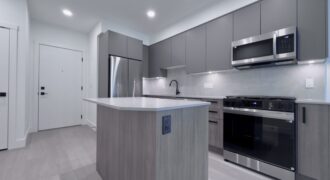 BRAND NEW – LANGLEY – 1 BEDROOM, 1 BATHROOM CONDO AVAILABLE!
