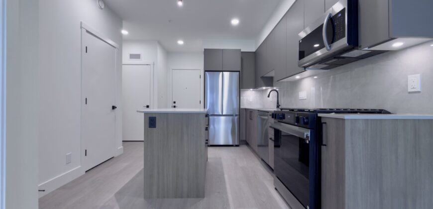 BRAND NEW – LANGLEY – 1 BEDROOM, 1 BATHROOM CONDO AVAILABLE!