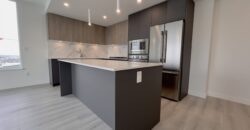 BRAND NEW LANGLEY – 1 BEDROOM, 1 BATHROOM & 1 DEN CONDO AVAILABLE