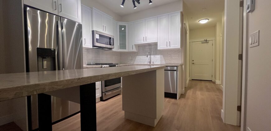 LANGLEY – BRAND NEW 2 BEDROOM, 1 BATHROOM CONDO