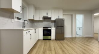 Surrey – 2 BEDROOM, 1 BATHROOM BASEMENT SUITE