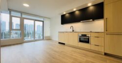 CENTRAL CITY – BRAND NEW 0 BED 1 BATH FURNISHED STUDIO