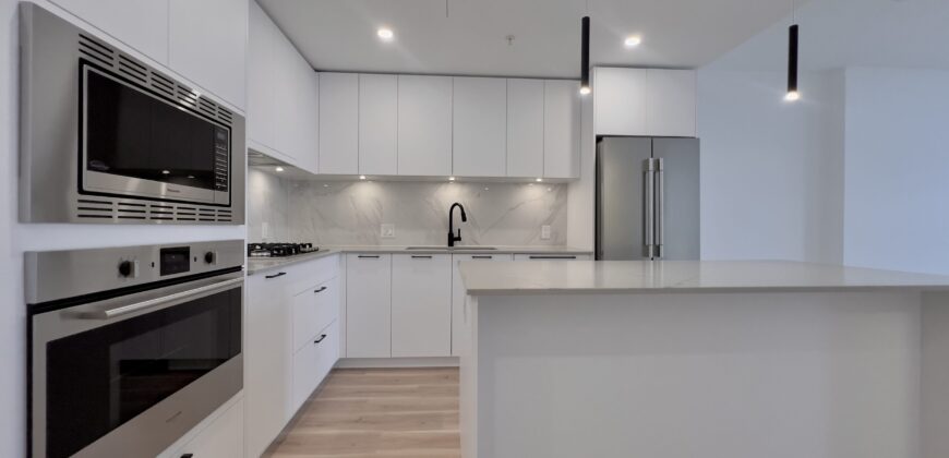 BRAND NEW LANGLEY – 1 BEDROOM, 1 BATHROOM CONDO (PET FRIENDLY)