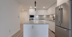 BRAND NEW LANGLEY – 1 BEDROOM, 1 BATHROOM CONDO (PET FRIENDLY)