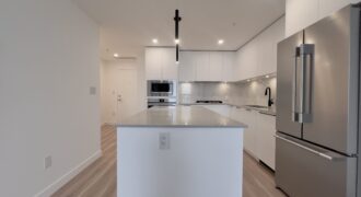 BRAND NEW LANGLEY – 1 BEDROOM, 1 BATHROOM CONDO (PET FRIENDLY)