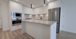 BRAND NEW LANGLEY – 1 BEDROOM, 1 BATHROOM CONDO (PET FRIENDLY)