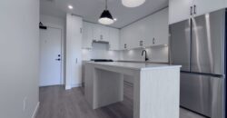 ALDERGROVE TOWN CENTRE – BRAND NEW 1 BEDROOM, 1 BATHROOM CONDO