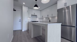 ALDERGROVE TOWN CENTRE – BRAND NEW 1 BEDROOM, 1 BATHROOM CONDO