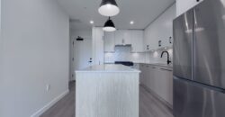 ALDERGROVE TOWN CENTRE – BRAND NEW 1 BEDROOM, 1 BATHROOM CONDO