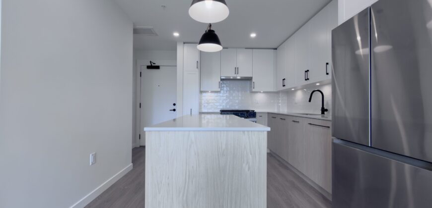 ALDERGROVE TOWN CENTRE – BRAND NEW 1 BEDROOM, 1 BATHROOM CONDO