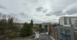 ALDERGROVE TOWN CENTRE – BRAND NEW 1 BEDROOM, 1 BATHROOM CONDO