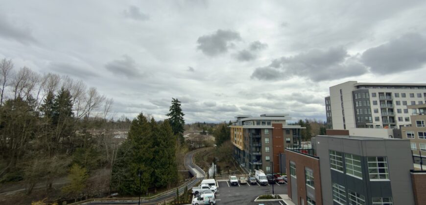 ALDERGROVE TOWN CENTRE – BRAND NEW 1 BEDROOM, 1 BATHROOM CONDO