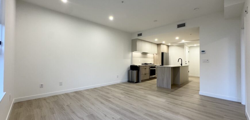 Burquitlam – Brand New 2 Bed 2 Bath Condo