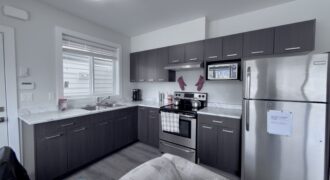 MAPLE RIDGE – ABOVE-GROUND BASEMENT SUITE – 2 BEDROOMS, 1 BATHROOM