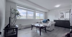 MAPLE RIDGE – ABOVE-GROUND BASEMENT SUITE – 2 BEDROOMS, 1 BATHROOM
