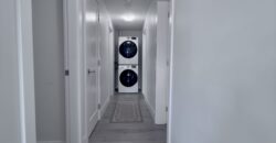 MAPLE RIDGE – ABOVE-GROUND BASEMENT SUITE – 2 BEDROOMS, 1 BATHROOM