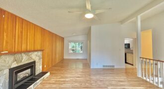LANGLEY – SPECTACULAR AND FULLY UPDATED – 3 BEDROOMS 2 BATHROOM MAIN FLOOR