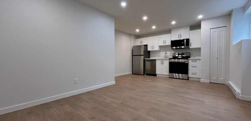 LANGLEY – WILLLOUGHBY HEIGHTS – BRAND NEW 2 BEDROOM, 1 BATHROOM BASEMENT SUITE