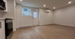 LANGLEY – WILLLOUGHBY HEIGHTS – BRAND NEW 2 BEDROOM, 1 BATHROOM BASEMENT SUITE