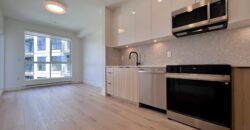 LANGLEY – UNITY – BRAND NEW 1 BEDROOM + FLEX (DEN), 1 BATHROOM CONDO