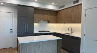 Brand New Burquitlam – 2 Bed 2 Bath