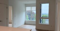 Brand New Burquitlam – 2 Bed 2 Bath