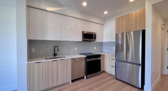 LANGLEY – UNITY – BRAND NEW 1 BEDROOM + DEN, 1 BATHROOM CONDO