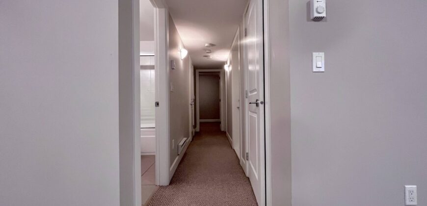 LANGLEY – WILLOUGHBY HEIGHTS – 2 BEDROOM, 1 BATHROOM BASEMENT SUITE