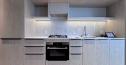 Jr 1 Bed 1 Bath – Brand New