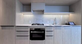 Burquitlam – Brand New Jr 1 Bed 1 Bath
