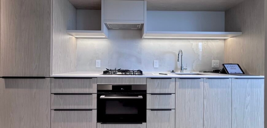 Burquitlam – Brand New Jr 1 Bed 1 Bath