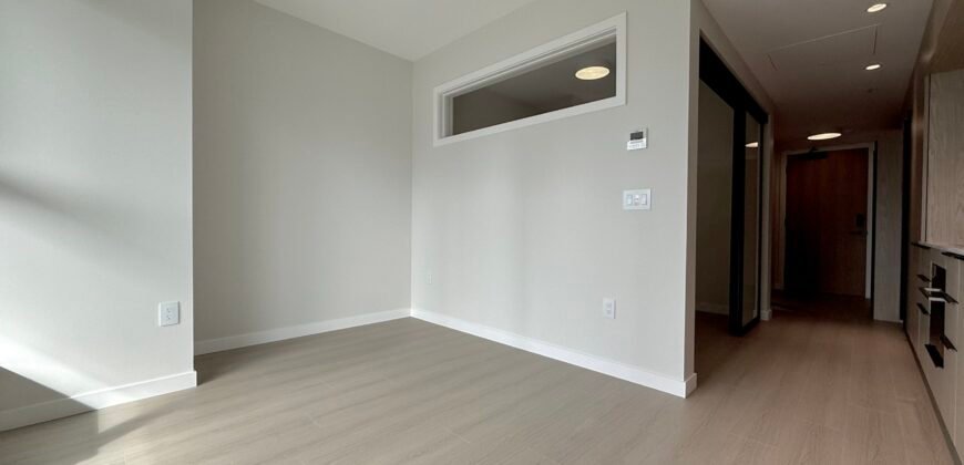 Burquitlam – Brand New Jr 1 Bed 1 Bath