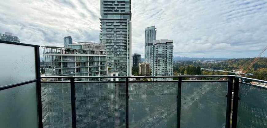 Burquitlam – Brand New Jr 1 Bed 1 Bath