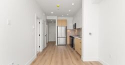 LANGLEY – UNITY – BRAND NEW 1 BEDROOM + DEN, 1 BATHROOM CONDO